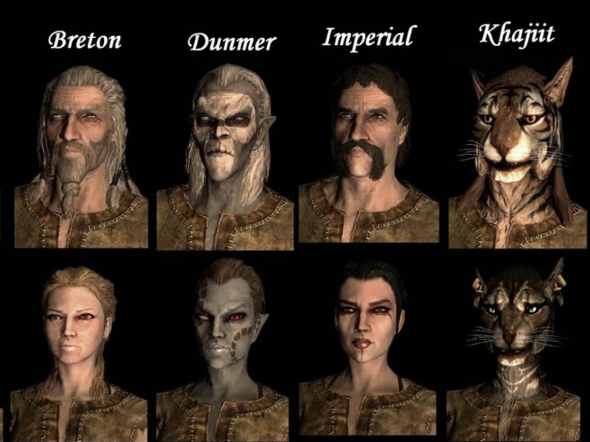 Skyrim Races List The Elder Scrolls V Skyrim Rasy