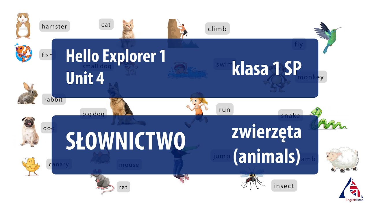 Słownictwo: Animals / I can. Hello Explorer 1_Unit 4, klasa 1 szkoły Hello Explorer 1 Testy Unit 4