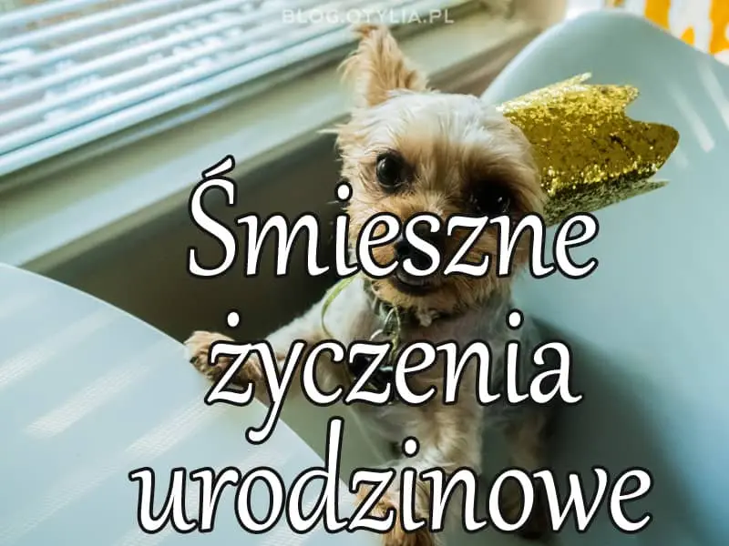 Smieszne Zyczenia Urodzinowe Obrazki
