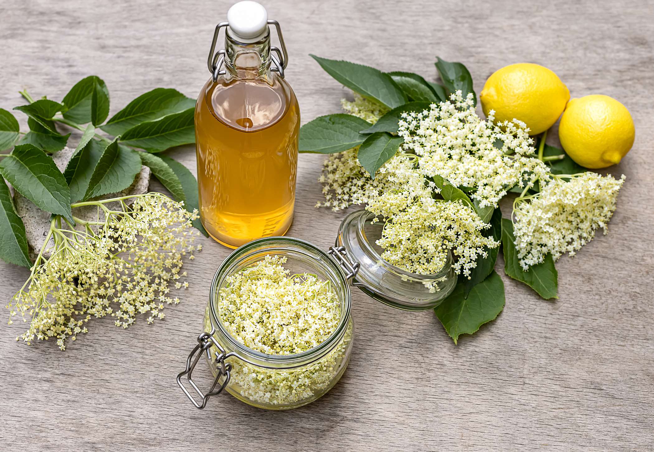 Sok Z Czarnego Bzu Thermomix
