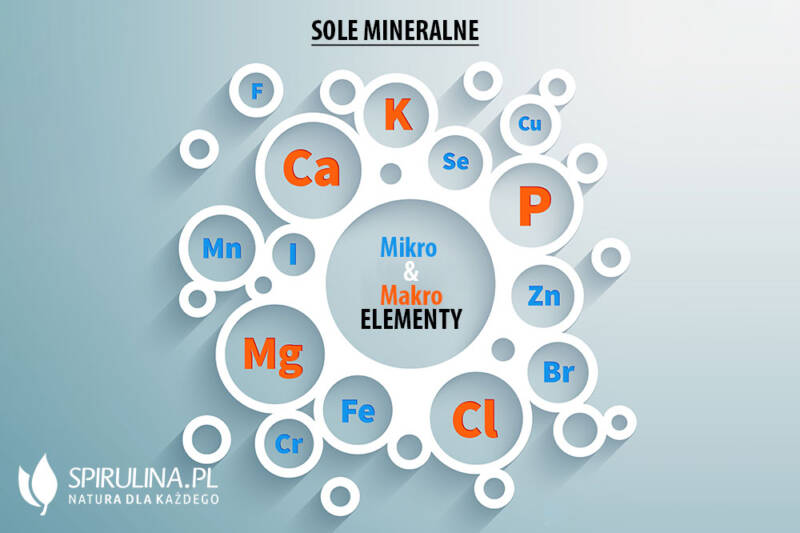 Czy Sole Mineralne Mają Wpływ Na Właściwości Skorupki Jaja Kurzego