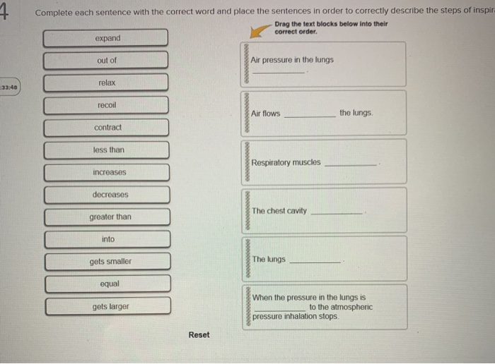 Complete The Text With The Correct Words