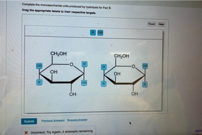 Solved Complete the monosaccharide units produced by | Chegg.com Choose The Monosaccharide Units Produced By Hydrolysis For The Disaccharide