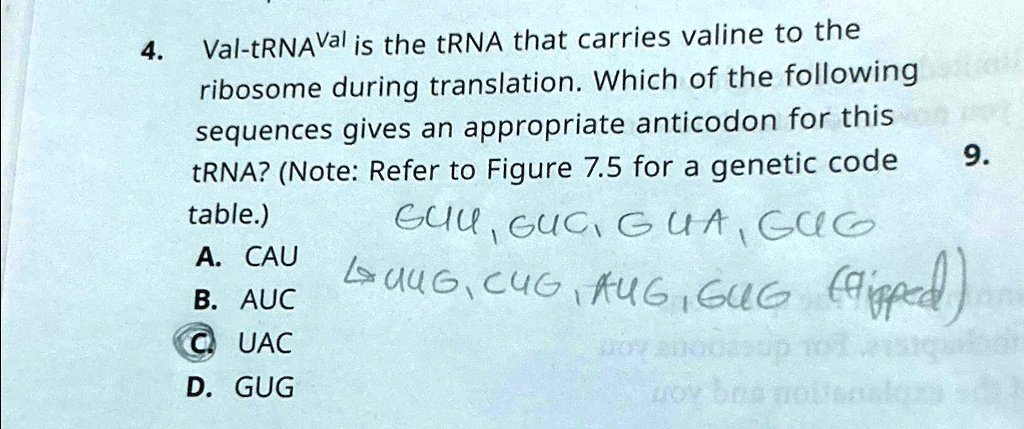 SOLVED: Val-tRNAVal is the tRNA that carries valine to the ribosome Refer To The Table The Anticodon For Valine Is