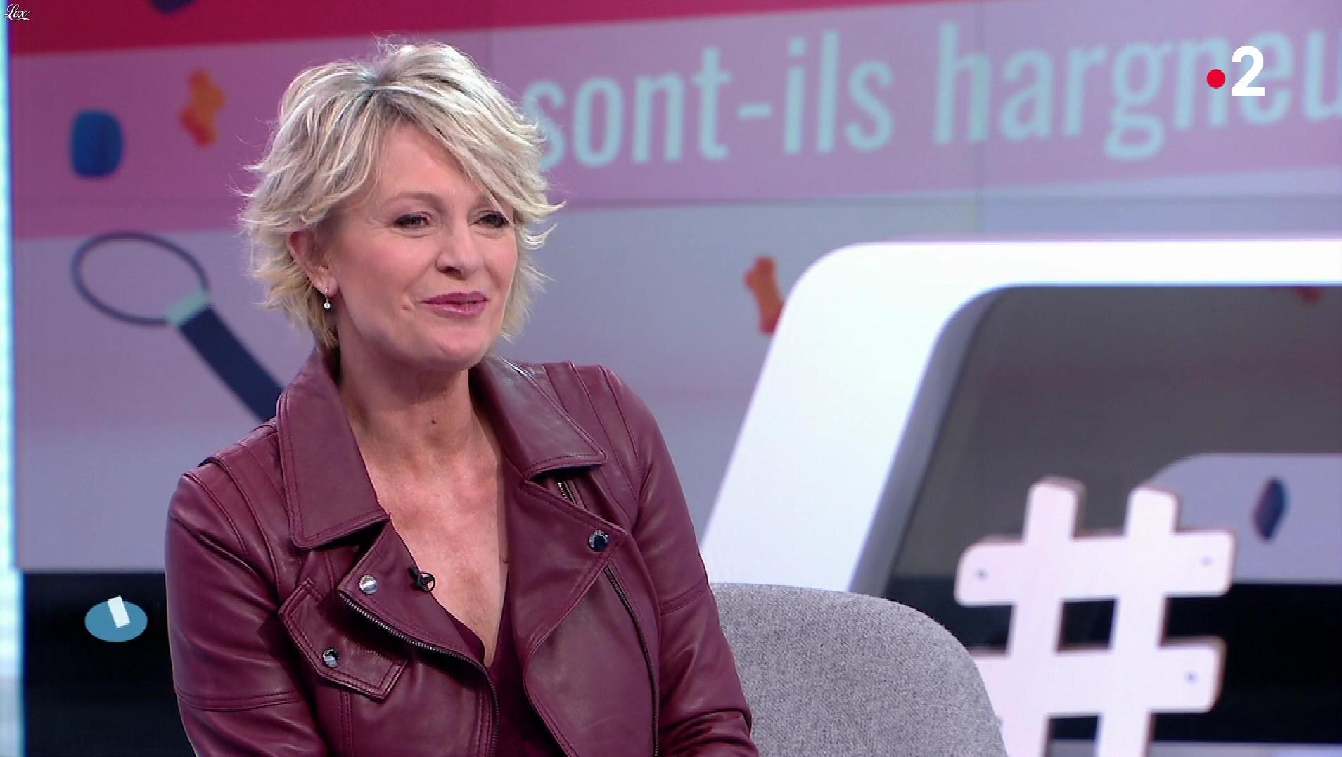 Sophie Davant dans c'est au Programme - 13/03/19 - 04 Sophie Davant C Est Au Programme