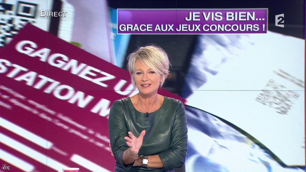 Sophie Davant dans c'est au Programme - 21/11/12 - 029 Sophie Davant C Est Au Programme