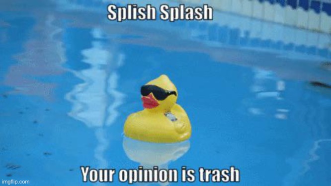 Splish Splash Your Opinion Is Trash