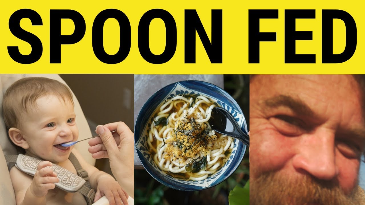🔵 Spoon Fed - Spoon-Fed Meaning - Spoon-Feed Explained - Spoon Fed Spoon Fed Feel Lost At The Cutting Edge