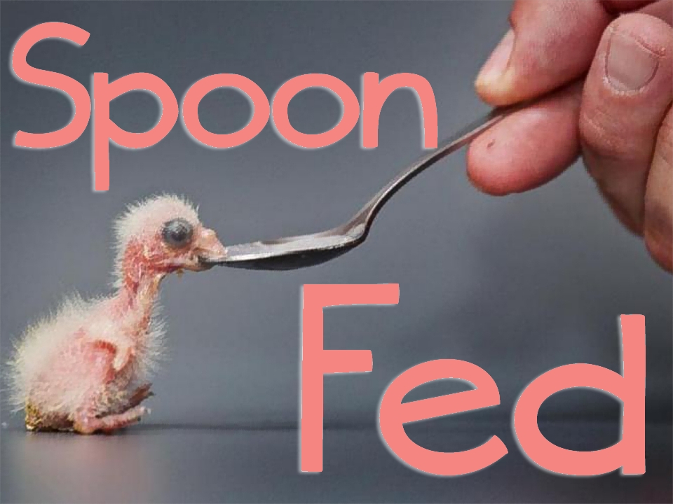 Spoon Fed Feel Lost At The Cutting Edge