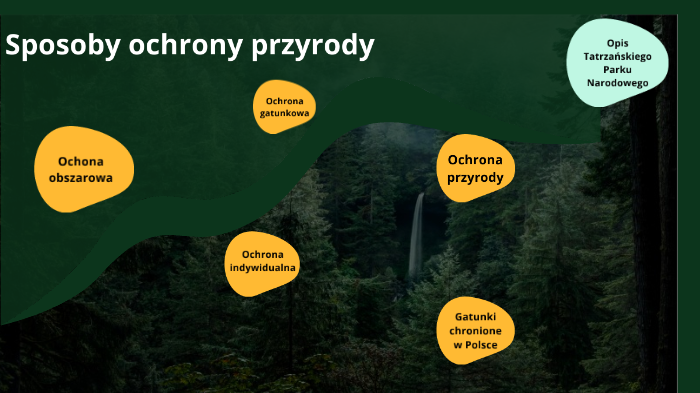 Sposoby ochrony przyrody by Anna Bzdyk on Prezi Poznajemy Sposoby Ochrony Przyrody Sprawdzian Pdf