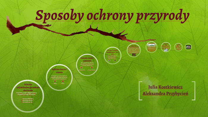 Poznajemy Sposoby Ochrony Przyrody Sprawdzian Pdf