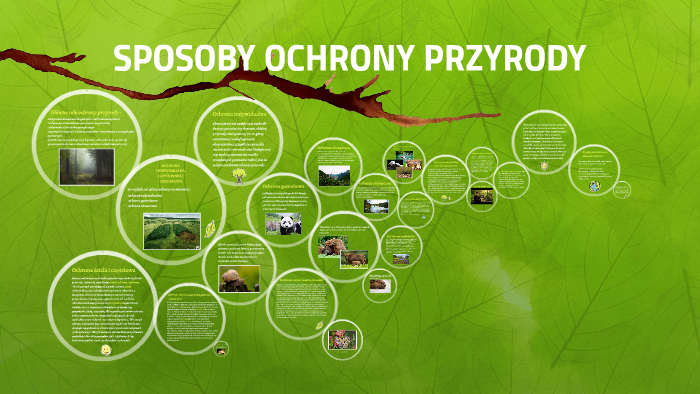 SPOSOBY OCHRONY PRZYRODY by Dominika Pożarowska on Prezi Poznajemy Sposoby Ochrony Przyrody Sprawdzian Pdf
