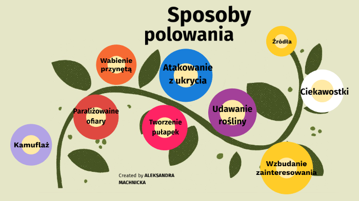 Sposoby polowania by Ola Machnicka on Prezi Sposoby Polowania Drapieżników