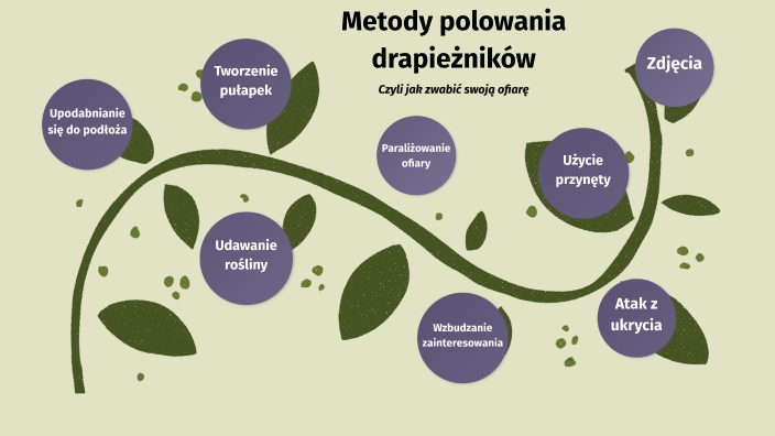 Sposoby Polowania Drapieżników