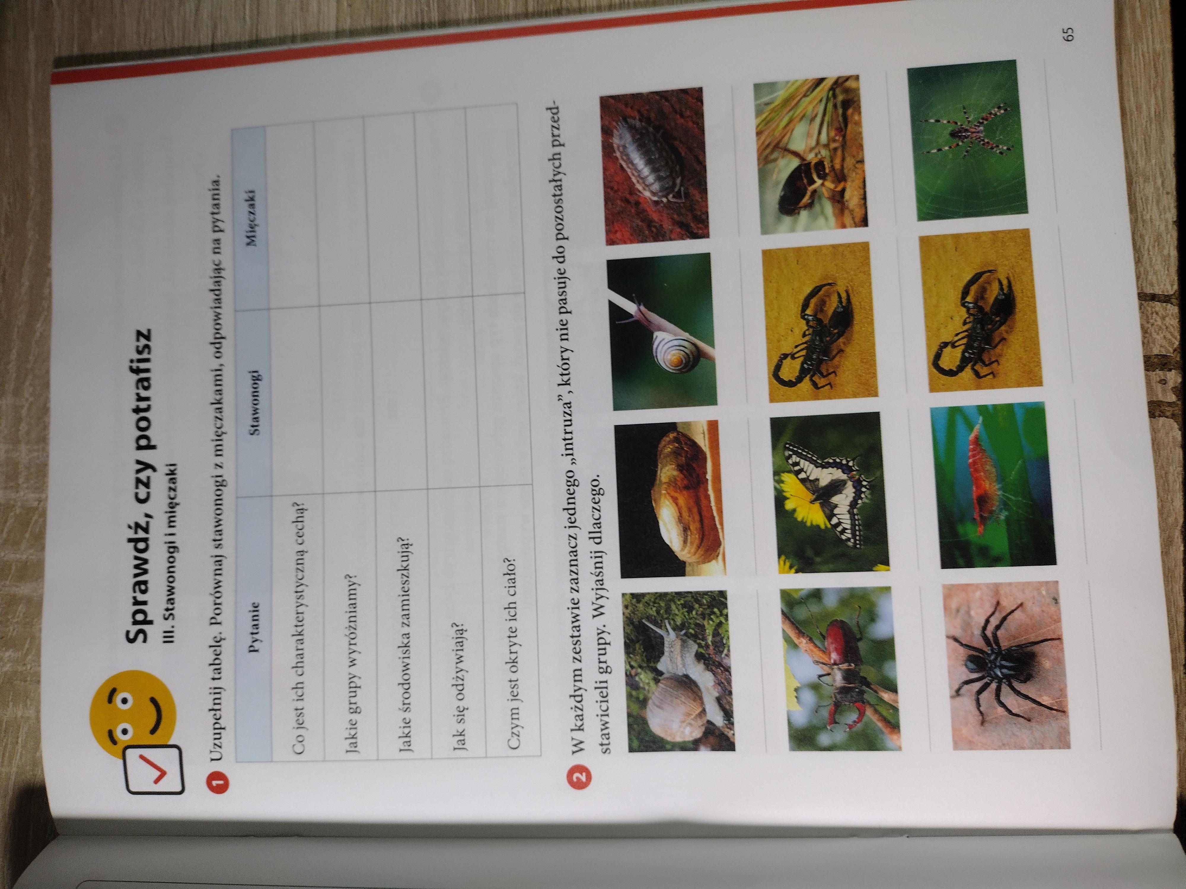 Sprawdzian Z Biologii Stawonogi I Mieczaki Klasa 6