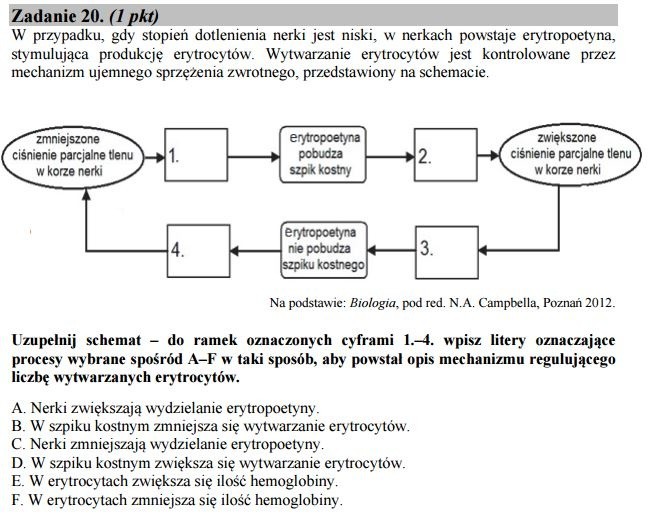 Sprawdzian Biologia Klasa 7 Dział 2 Aparat Ruchu Nowa Era Aparat Ruchu Sprawdzian