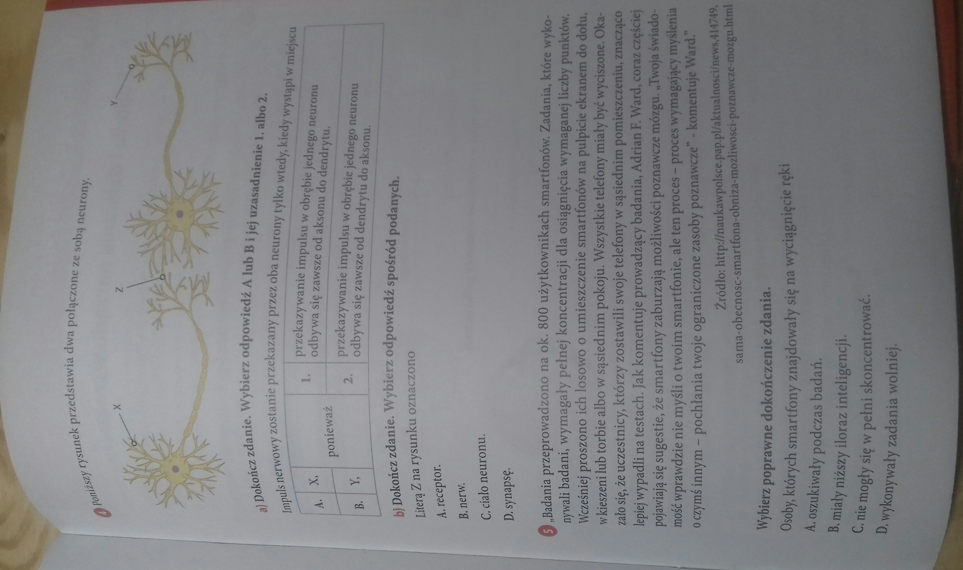 Sprawdzian Biologia Klasa 7 Regulacja Nerwowo Hormonalna Nowa Era Sprawdzian Biologia Klasa 7 Regulacja Nerwowo Hormonalna Nowa Era