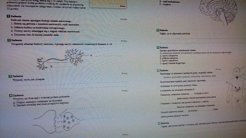 Sprawdzian Biologia Klasa 7 Regulacja Nerwowo Hormonalna Nowa Era Sprawdzian Biologia Klasa 7 Regulacja Nerwowo Hormonalna Nowa Era