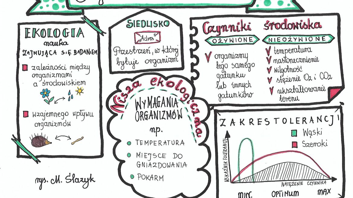 Sprawdzian Biologia Klasa 8 Ekologia - question Sprawdzian Ekologia