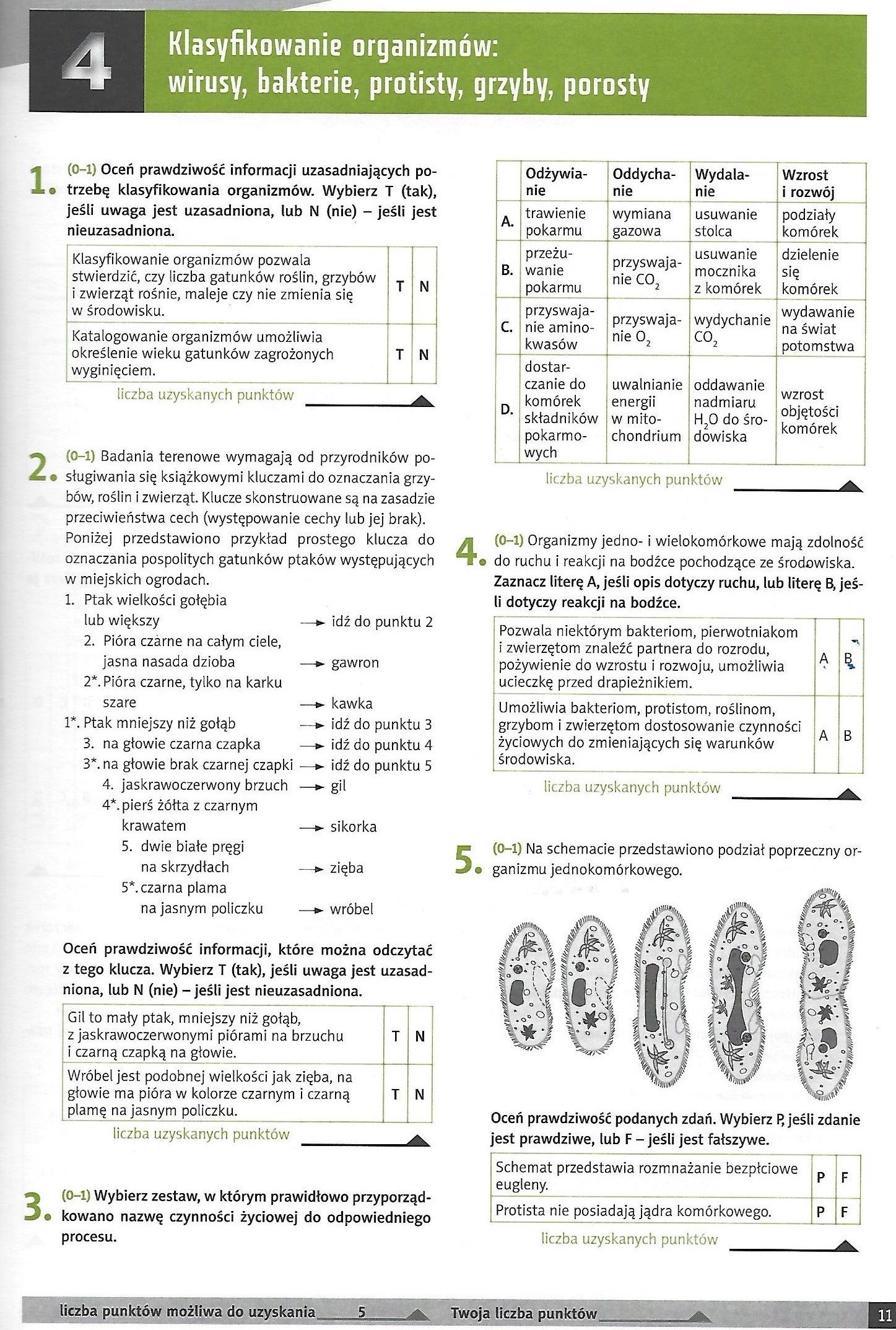 Sprawdzian Klasa 5 Biologia