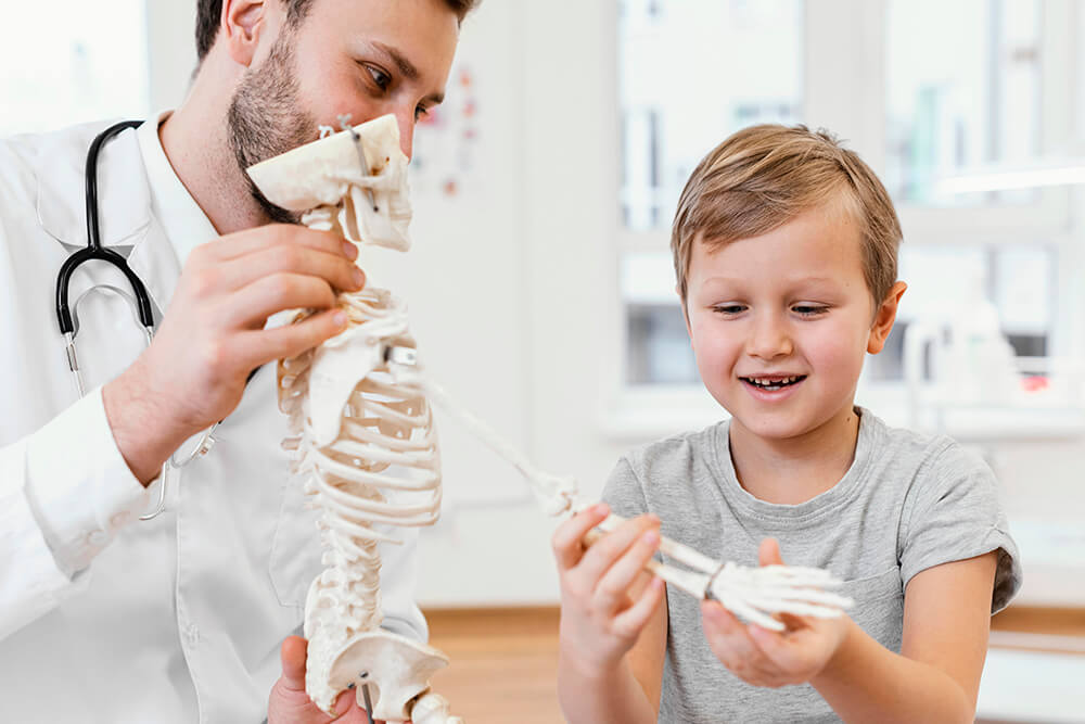 Sprawdzian z biologii: Aparat ruchu – Budowa i funkcje Sprawdzian Z Biologii Klasa 7 Aparat Ruchu