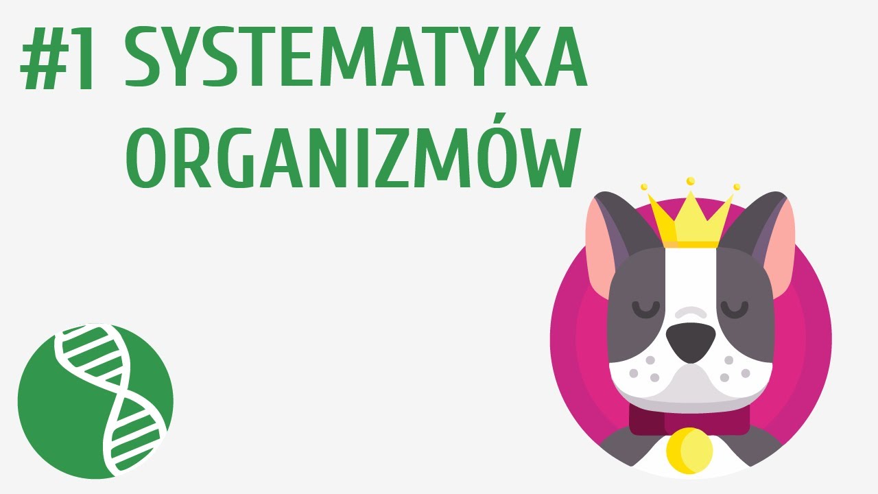 Sprawdzian Z Biologii 1 Liceum Ochrona Przyrody