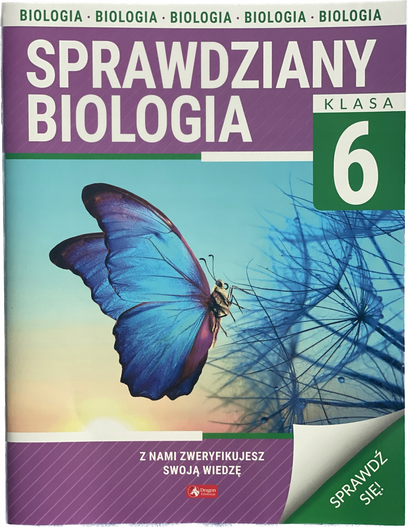 Sprawdzian Klasa 6 Biologia