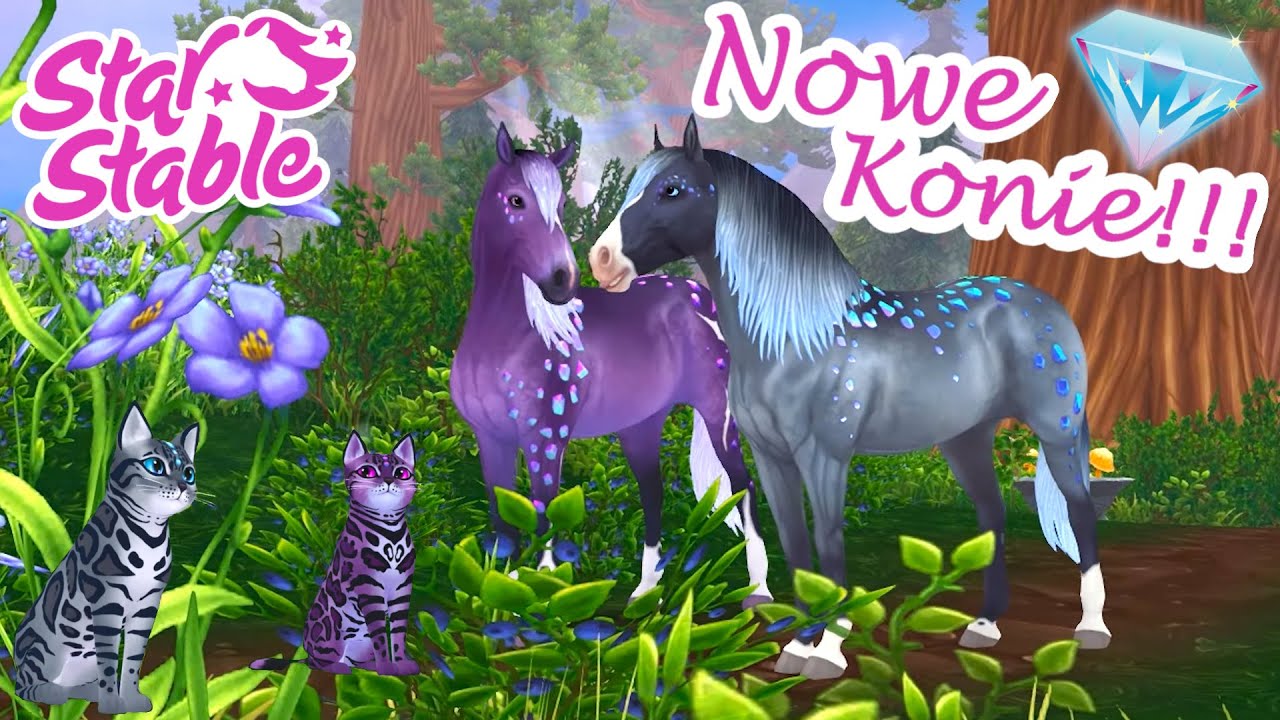 Skąd Wziąć Wiadro W Star Stable