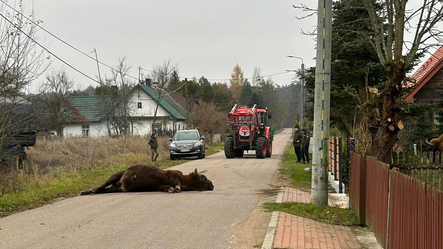 Stolnik Zabity Przez Jacka Soplicę