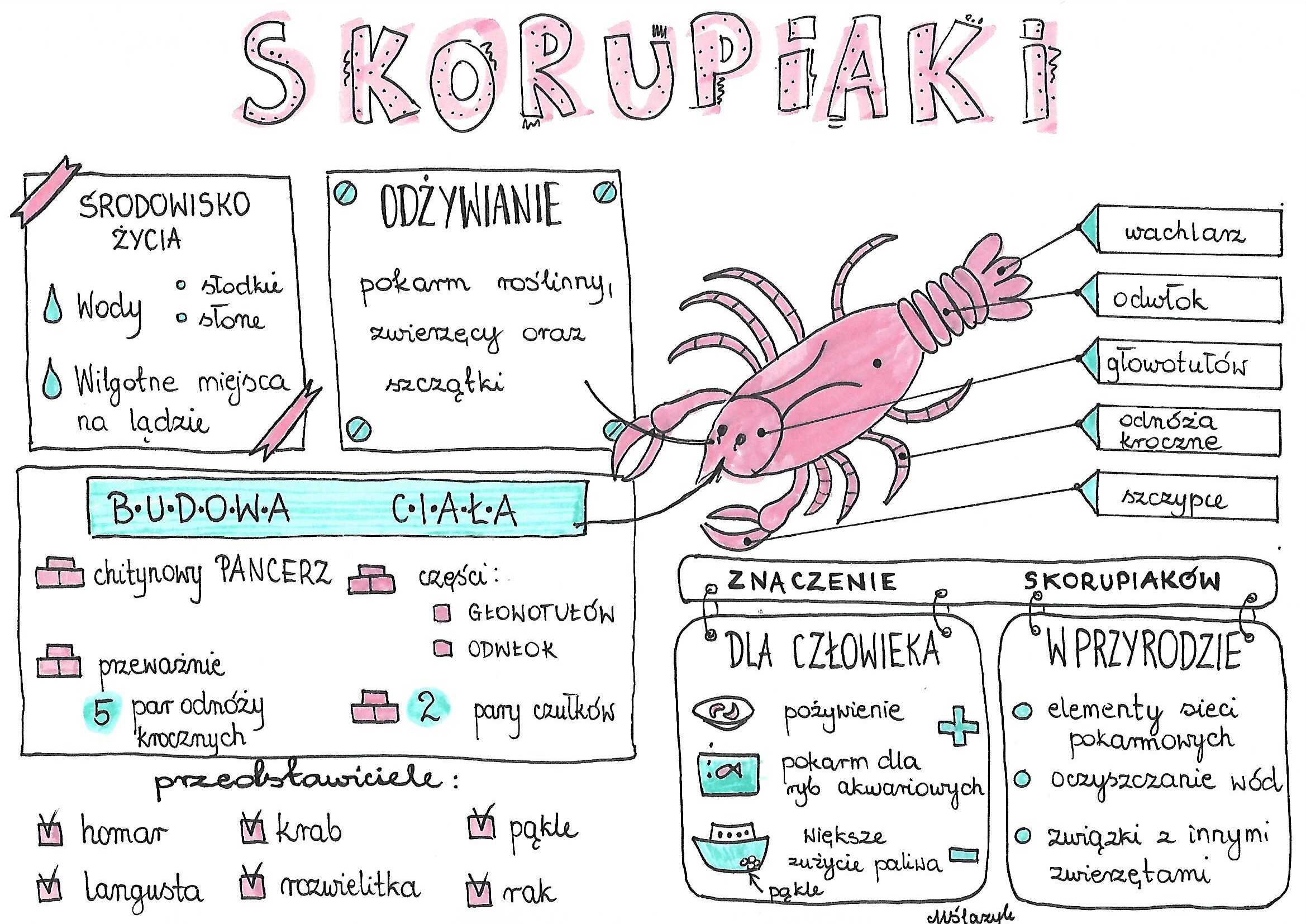 Stawonogi I Miczaki Sprawdzian Klasa 6 - question Sprawdzian Biologia Dział 2 Klasa 6