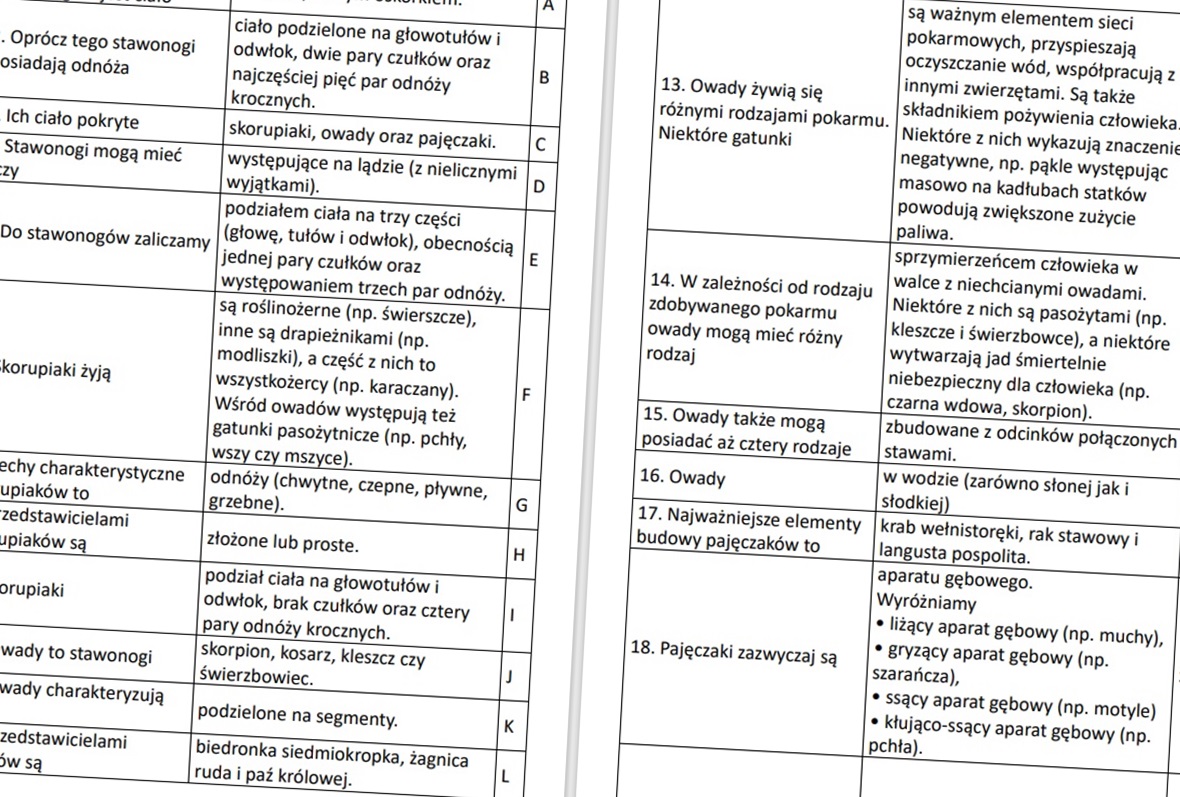 Stawonogi i mięczaki (rozsypanka) • Złoty nauczyciel Stawonogi I Mieczaki Sprawdzian Klasa 6 Nowa Era