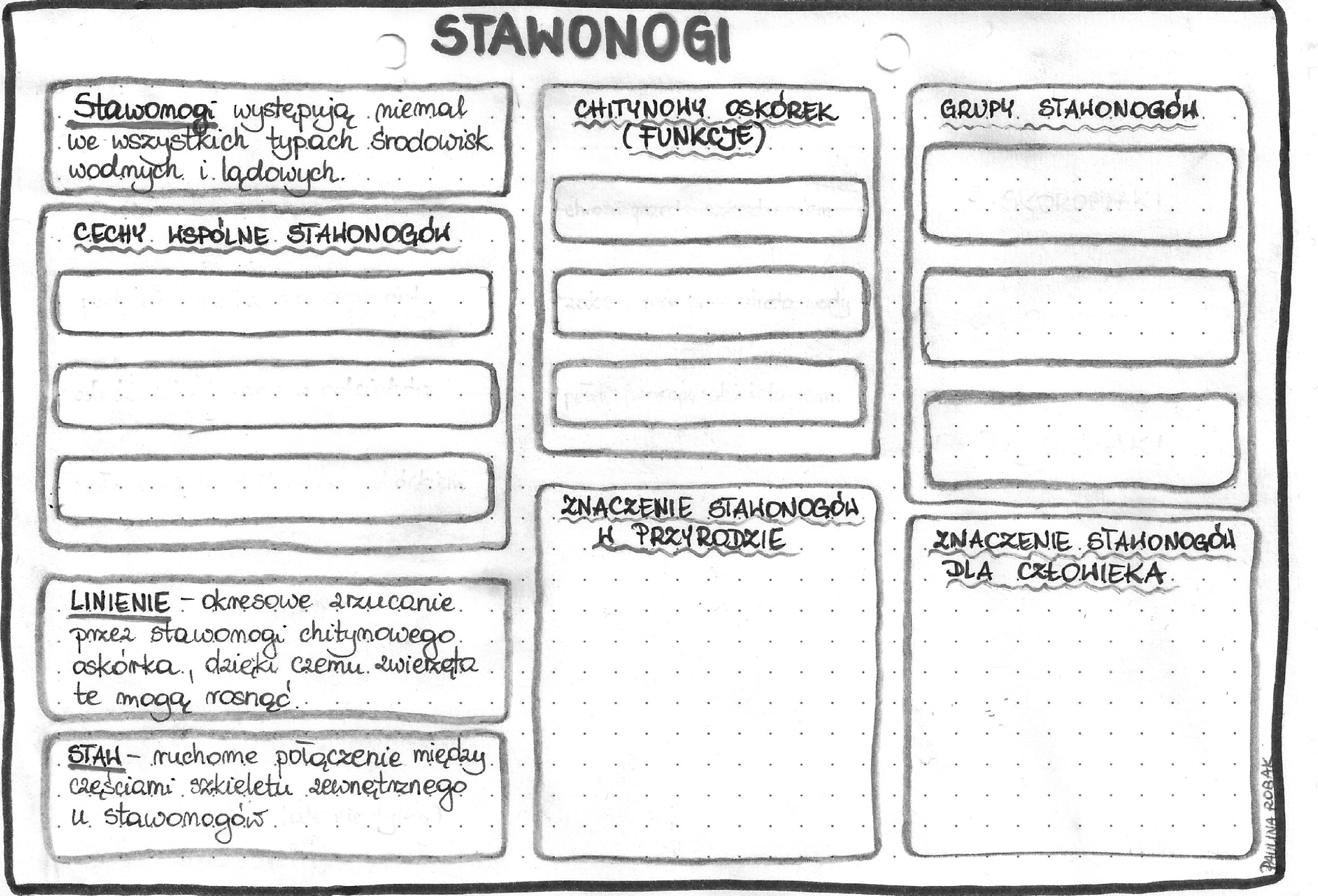 Stawonogi – klasa 6 – szarość • Złoty nauczyciel Sprawdzian Z Biologii Stawonogi I Mieczaki Klasa 6