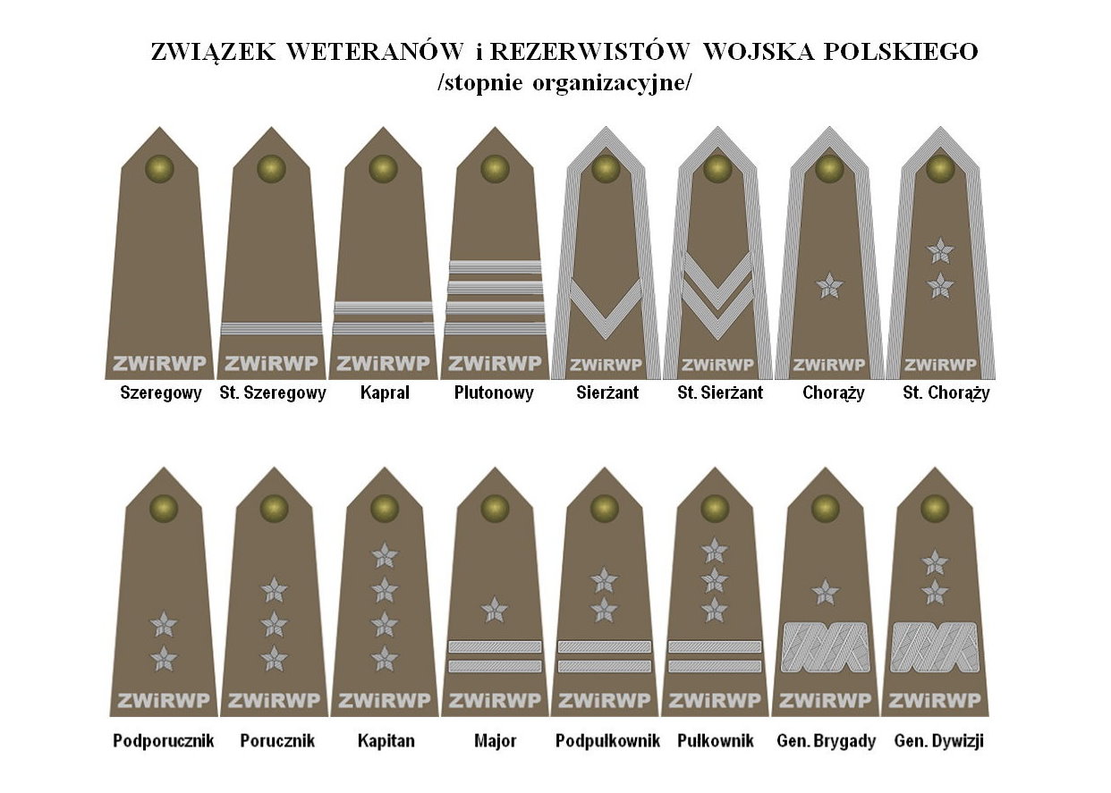 Stopnie organizacyjne – Związek Weteranów i Rezerwistów Wojska Polskiego Stopnie Wojskowe Usa A Polskie