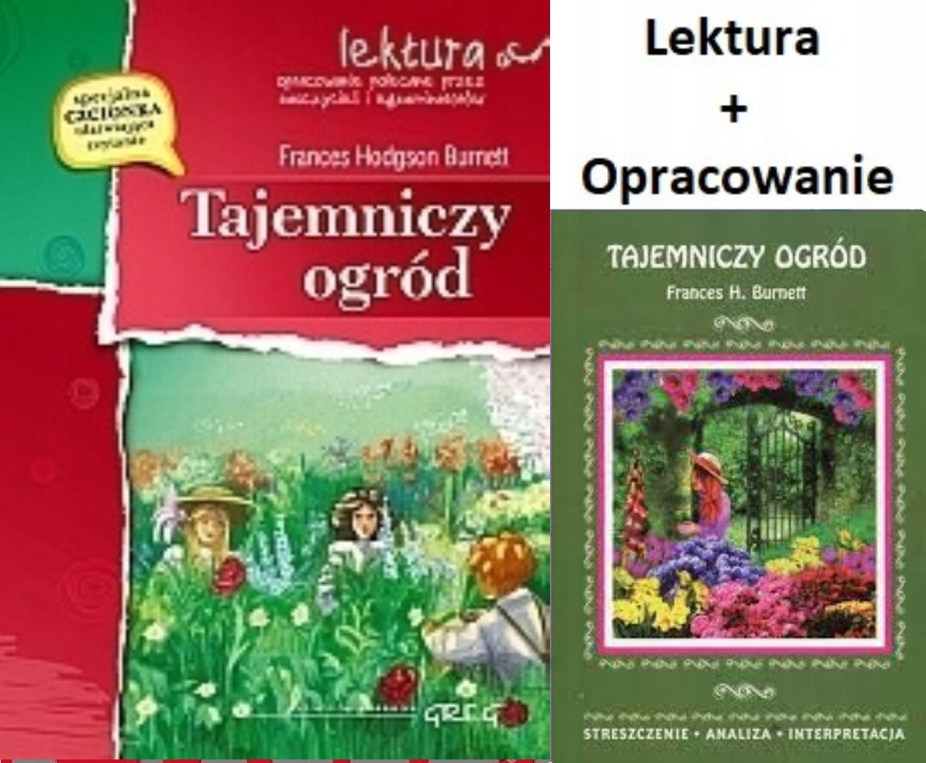 Streszczenie Tajemniczy Ogród - Niska cena na Allegro.pl Tajemniczy Ogród Lektura Klasa 5