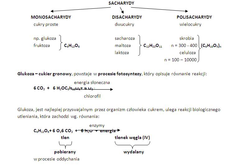 Substancje o znaczeniu biologicznym - powtórka, streszczenie z Chemia Sprawdzian Substancje O Znaczeniu Biologicznym