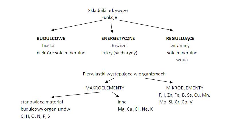 Tluszcze Bialka Cukry Chemia Test