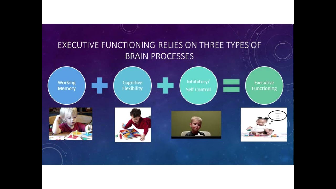 Executive Function In Childhood Development And Disorder
