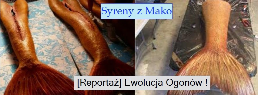 Ogon Syreny Z H2o Do Kupienia