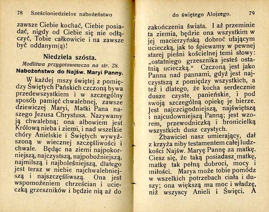 Swiety Alojzy, Kwiat czystosci. Zyciorys swietego Alojzego oraz rozne Spiewana Czesc Katolickiego Nabozenstwa Zalobnego