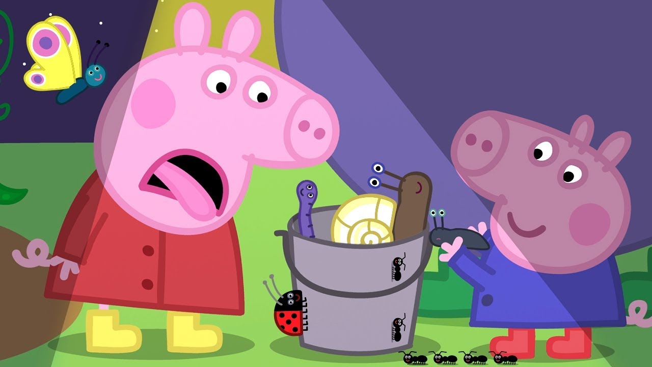 Świnka Peppa 🦔 Nocne Zwierzęta | Bajki Po Polsku | Peppa po Polsku Peppa Bajka Po Polsku Dla Dzieci