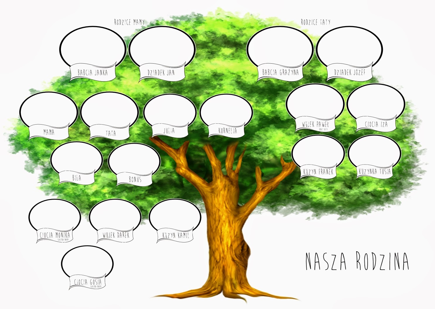 Drzewo Genealogiczne Wzr Klasa 4 Podstawowa