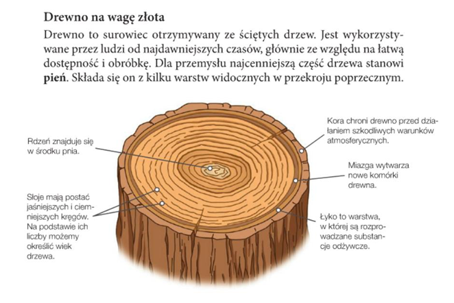 Szkoła podstawowa klasa 5 – Technika – SOSW w Kluczborku Dlaczego Drewno Jest Cennym Surowcem