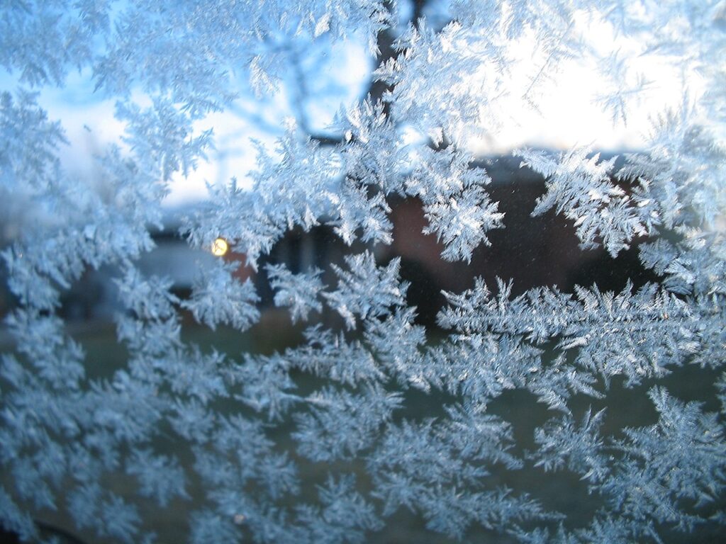 Szron - co to jest, kiedy i jak powstaje? • radary.info W Jakiej Temperaturze Powstaje Szron