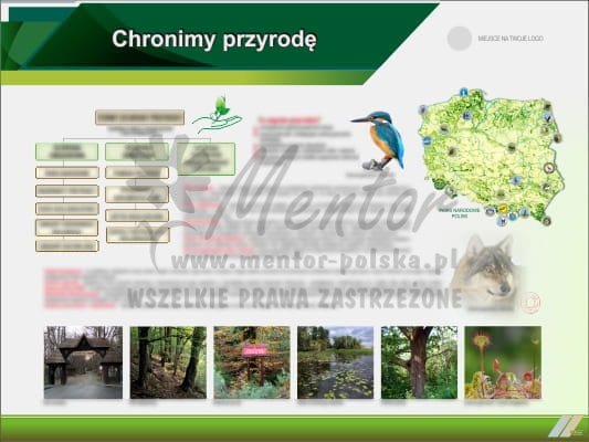 Jak Chronimy Przyrodę W Polsce