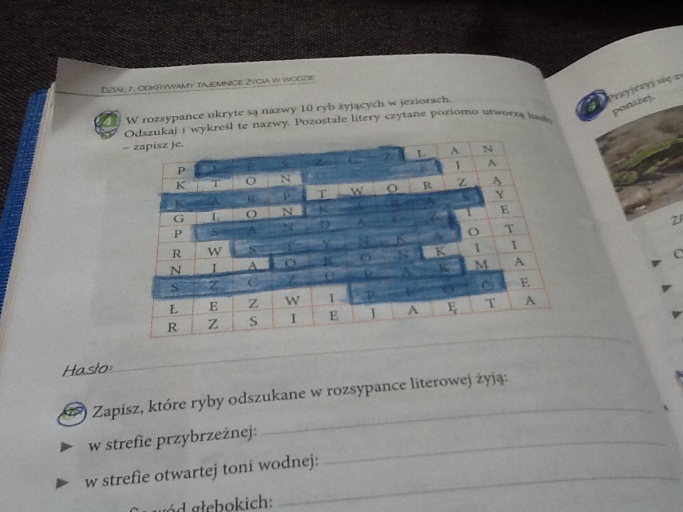 Tajemnice Przyrody Klasa 4 Sprawdziany - question Przyroda Klasa 4 Sprawdziany Tajemnice Przyrody Dzial 5