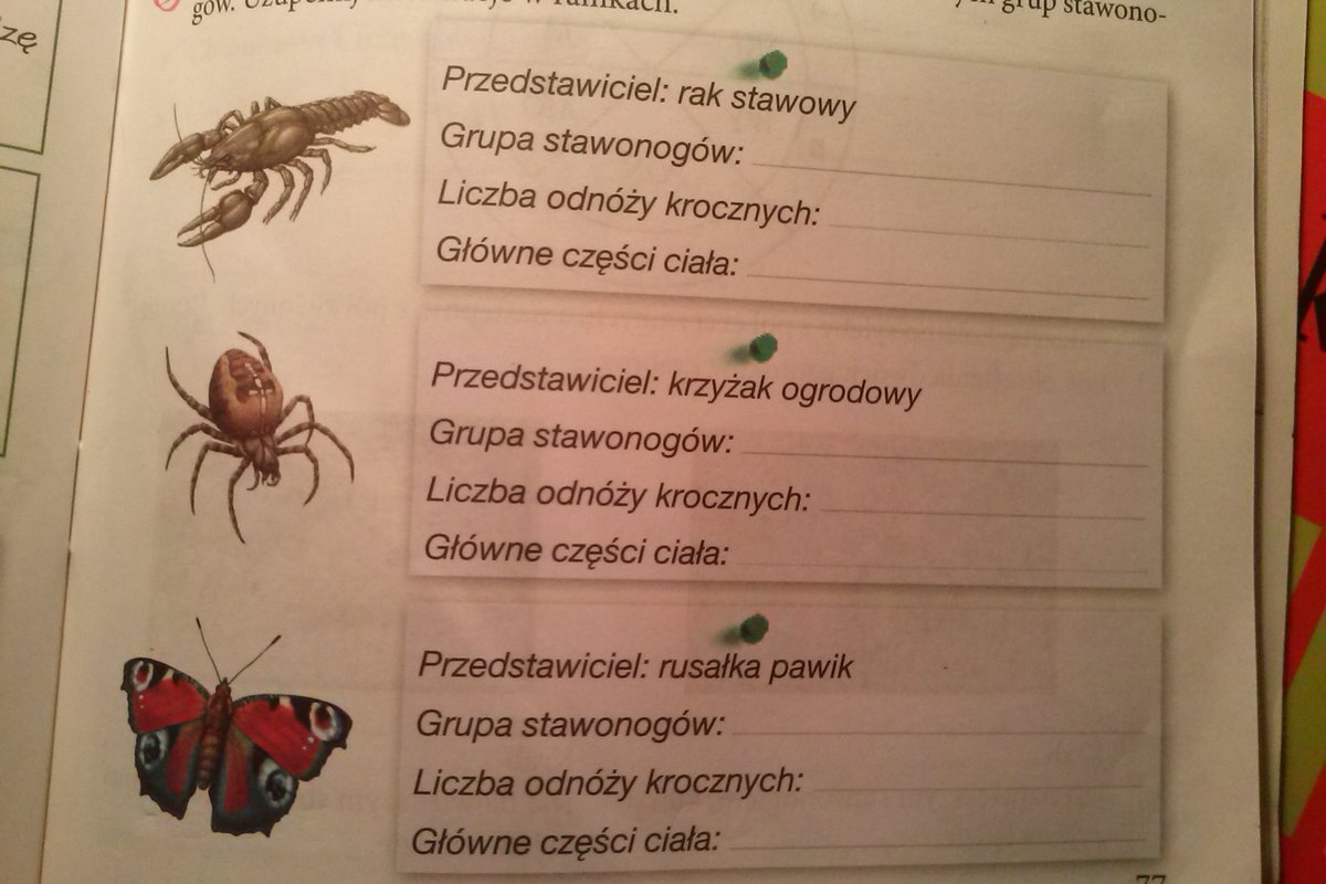 Sprawdzian Tajemnice Przyrody Klasa 6 Dział 3 Odpowiedzi