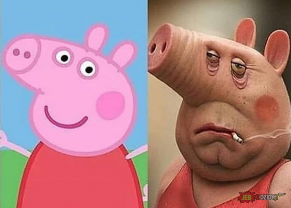 Tak teraz wygląda Świnka Peppa Jak Wyglada Swinka Peppa W Prawdziwym Zyciu