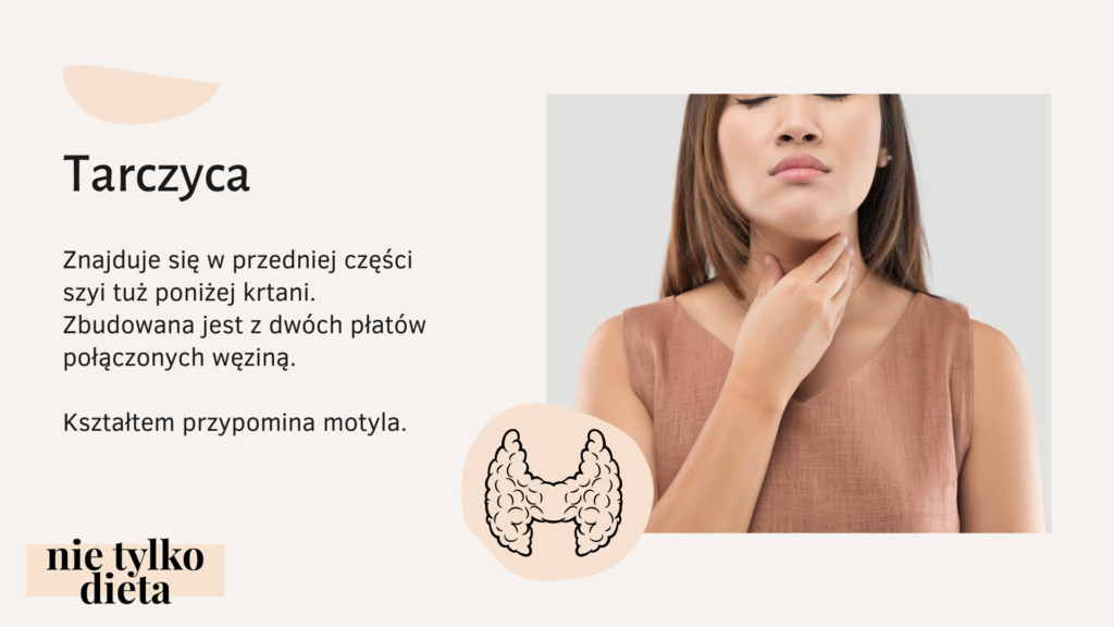 Tarczyca - gdzie jest i jakie pełni funkcje Co To Znaczy Mieć Płonące Policzki