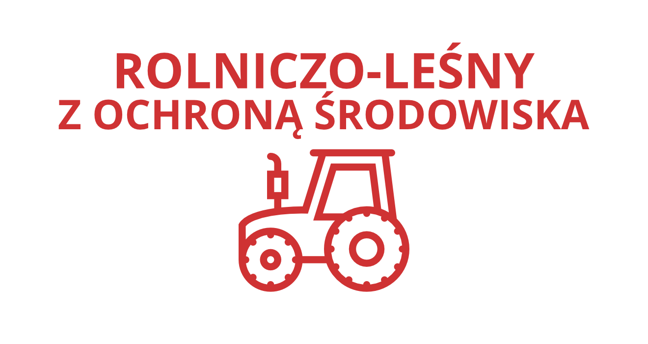 Technik architektury krajobrazu - egzamin zawodowy - Arkusze CKE Egzamin Zawodowy Technik Spedytor Arkusze