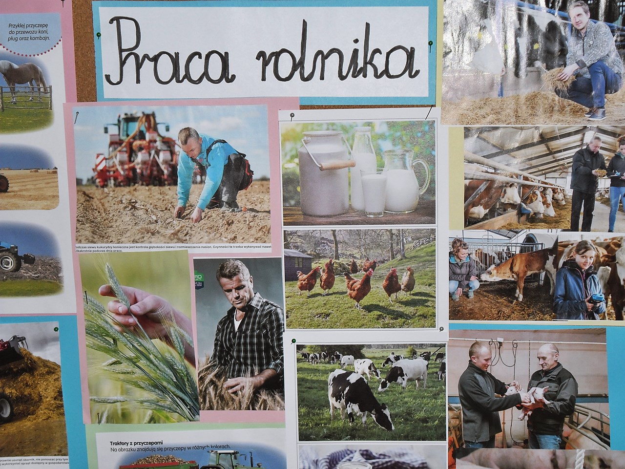 Praca Rolnika Scenariusz Zajec Przedszkole